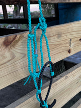 Turquoise Paracord Pony Halter