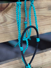 Turquoise Paracord Pony Halter