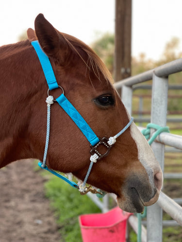 Mustang Turquoise Antique Nylon Hybrid Halter Average