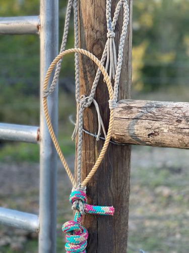 The Palomino Paracord Halter