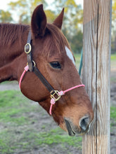 Custom Leather Hybrid Halter