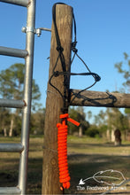 Blazin’ Olive Rope Halter