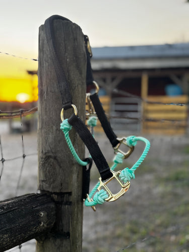 Turquoise Nylon Pony Halter