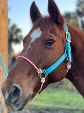 Turquoise & Pink Nylon Hybrid Halter Average