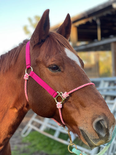 Custom Nylon Hybrid Halter