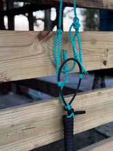 Turquoise Paracord Pony Halter